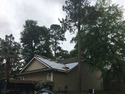 Asphalt Shingle Roof Replacement